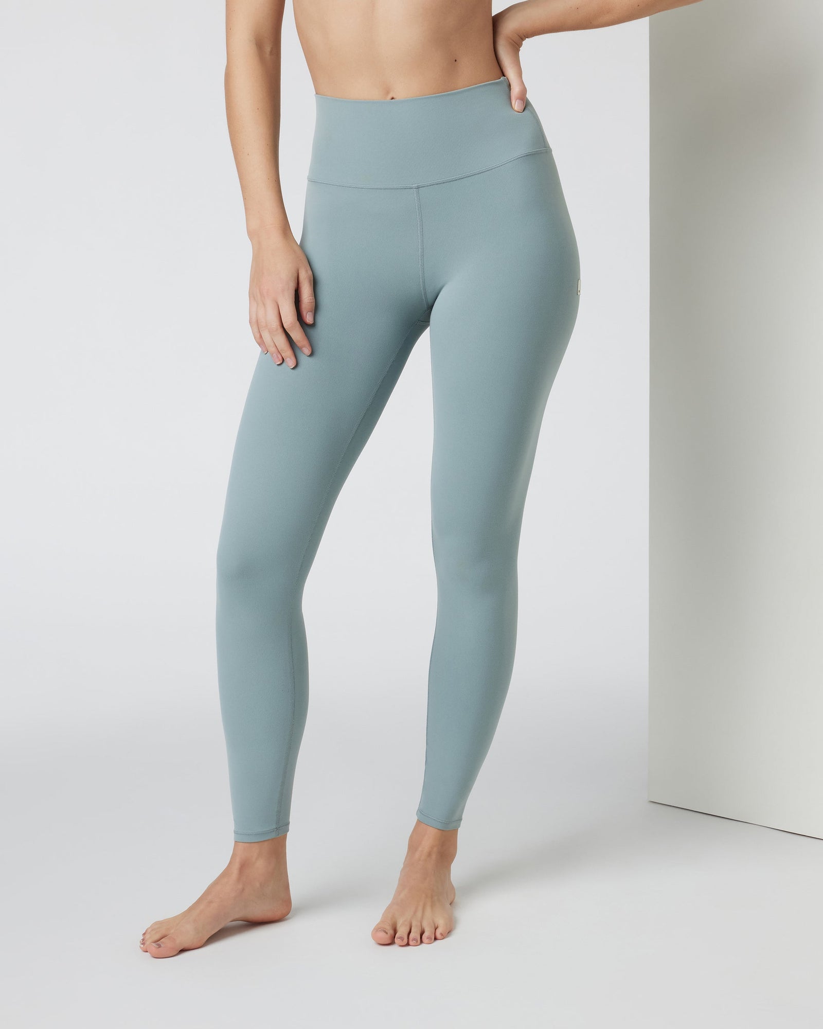 SculptFit seamless leggings